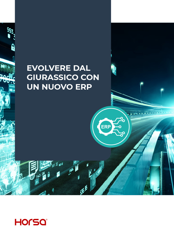 Immagine del whitepaper: Enterprise Resource Planning: la migliore strategia per implementare un gestionale in cloud davvero evoluto
