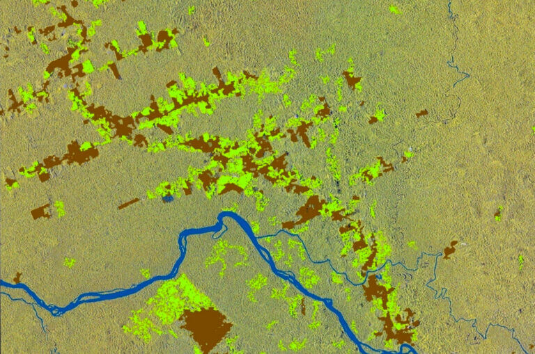 Deforestation-based-on-SAR