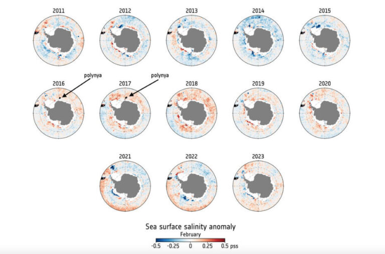 antartico acqua salata