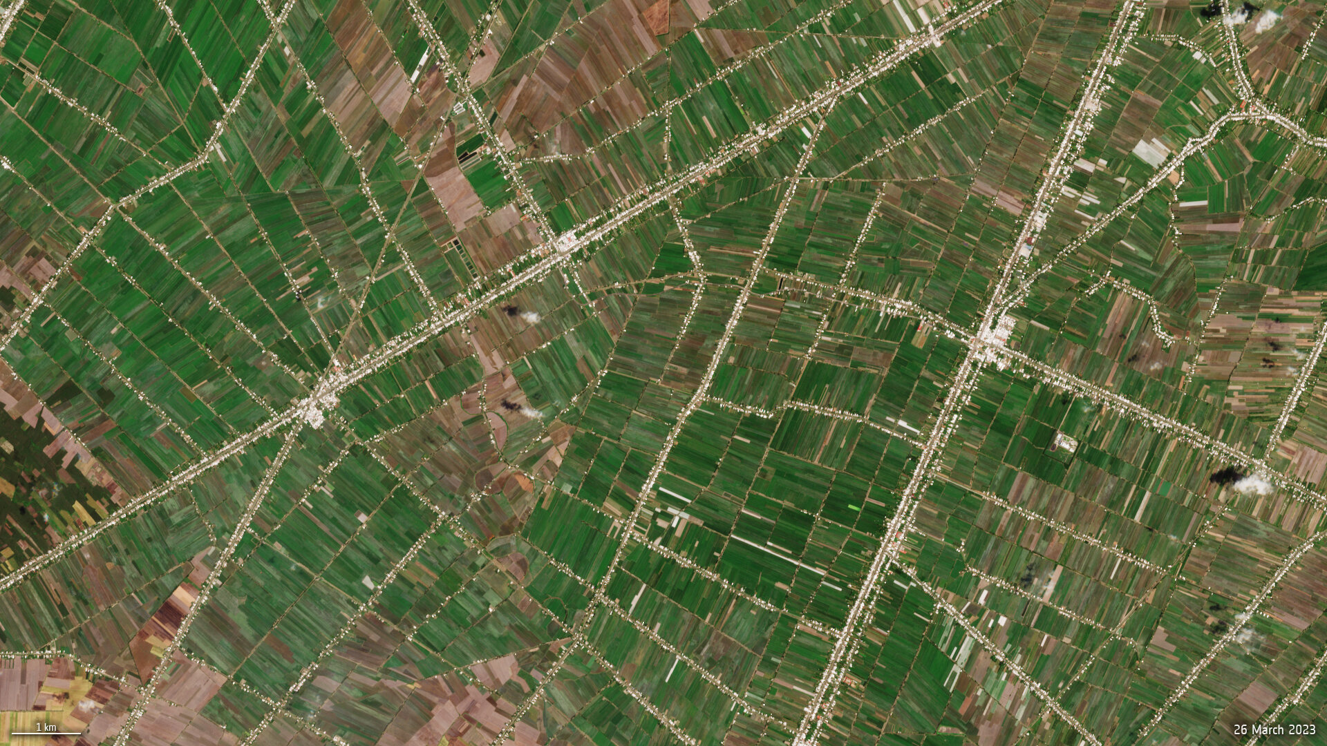 Rice_fields_Mekong_Delta_pillars