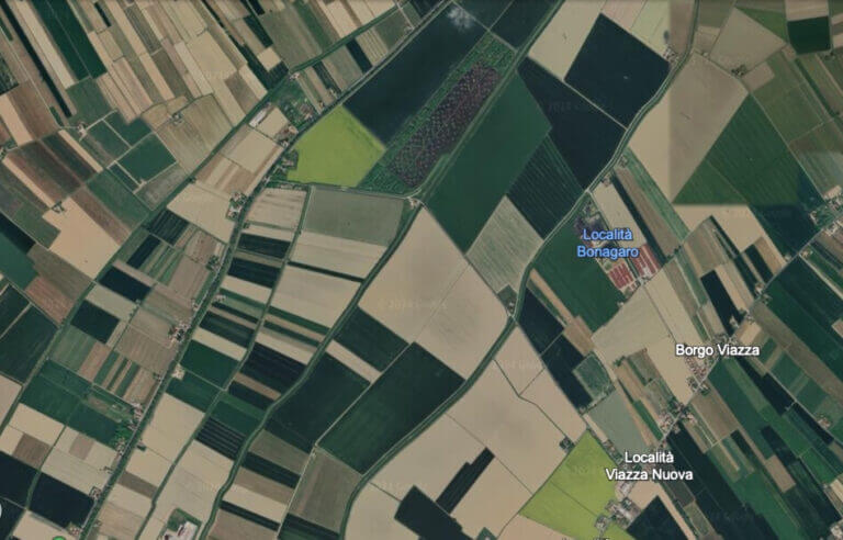 campi agricoli satellite