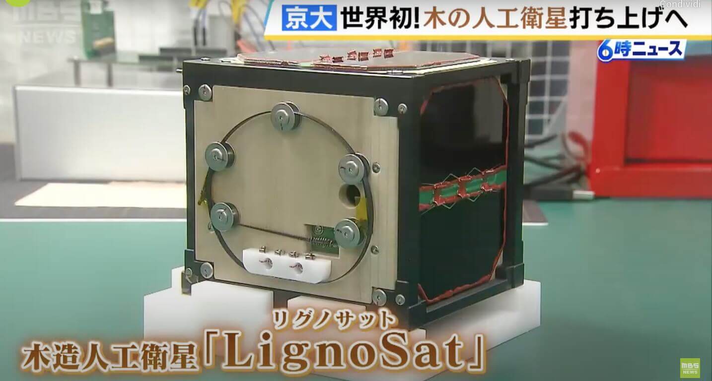 LignoSat Japan